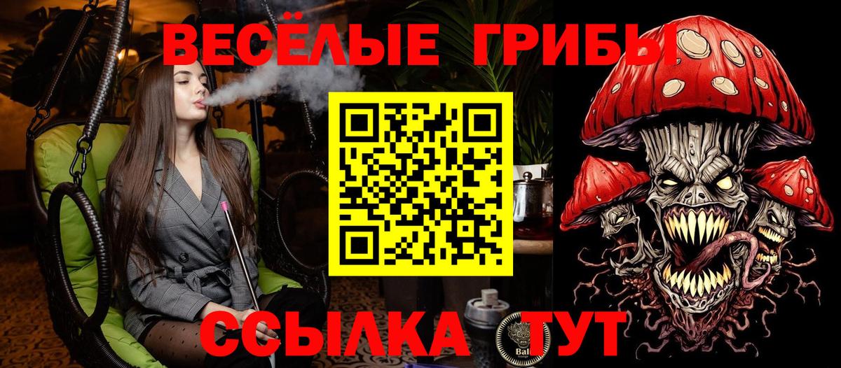 Галлюциногенные грибы Psilocybine cubensis Нижнекамск